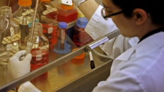 New Rules Will Make Stem Cell Research Easier